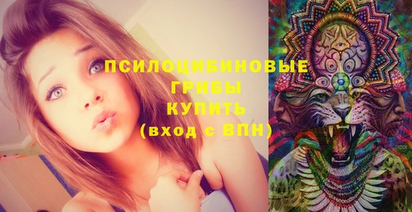 меф Белокуриха