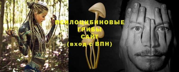 мескалин Богородск