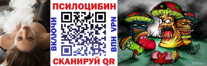MEGA ONION  магазин продажи   Бологое  Псилоцибиновые грибы Magic Shrooms 