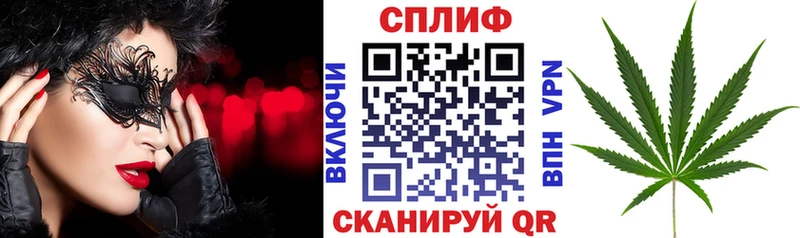 Бошки марихуана THC 21%  Бологое 